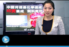 權(quán)威聲音：“快時代”究竟還有什么可以速成？