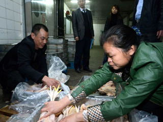 江西宰殺、冷凍積壓禽肉 緩解H7N9禽流感影響