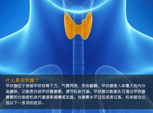 關注甲狀腺健康，你應該知道的那些事