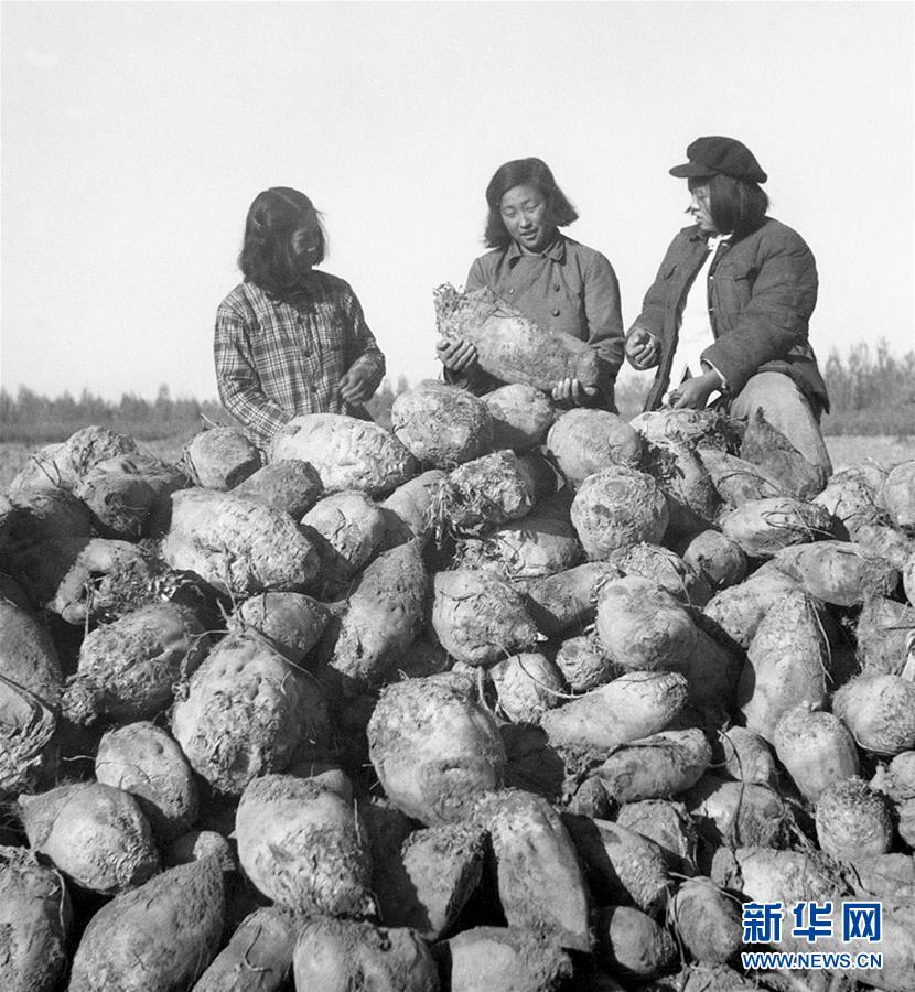 （圖文互動(dòng)）（2）為了“中國(guó)號(hào)”巨輪揚(yáng)帆遠(yuǎn)航——中國(guó)共產(chǎn)黨領(lǐng)導(dǎo)下的人民軍隊(duì)忠于祖國(guó)、服務(wù)人民啟示錄
