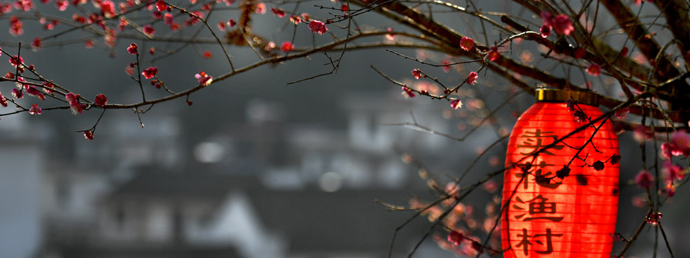 春來花開，綻放正當(dāng)時(shí)