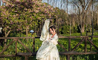 徜徉櫻花花海，來場動漫之旅