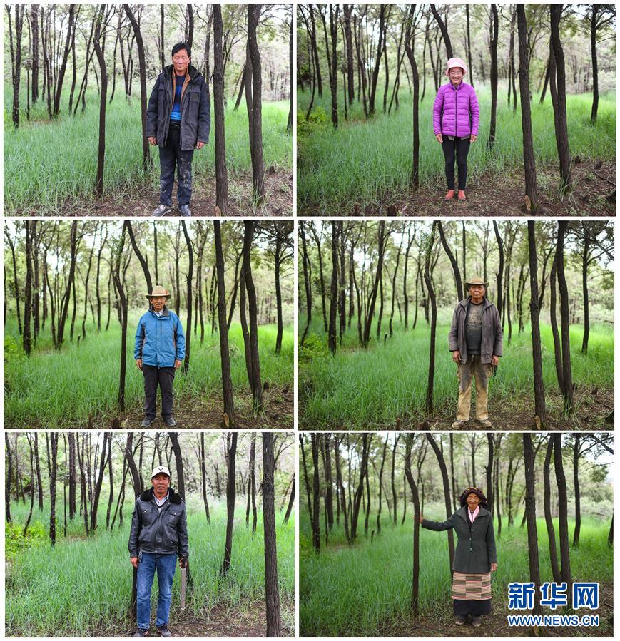 （十九大·讀報(bào)告 話(huà)民生）（9）加快生態(tài)文明體制改革，建設(shè)美麗中國(guó)