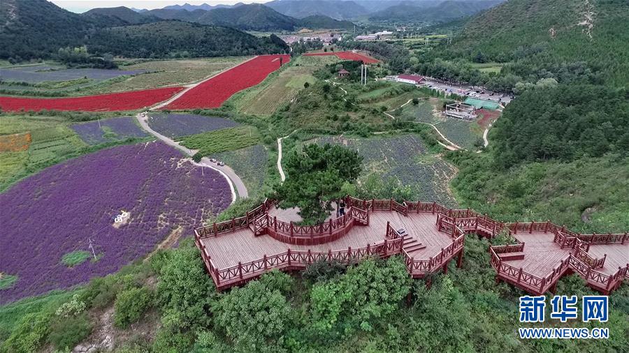 （十九大·讀報告 話民生）（10）加快生態(tài)文明體制改革，建設(shè)美麗中國