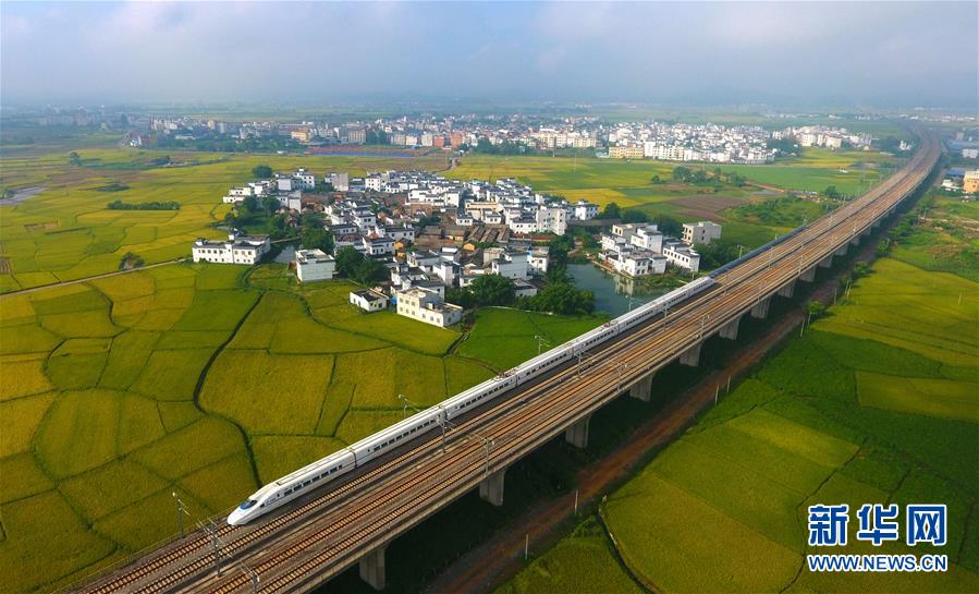 （十九大·讀報(bào)告 話民生）（14）加快生態(tài)文明體制改革，建設(shè)美麗中國(guó)