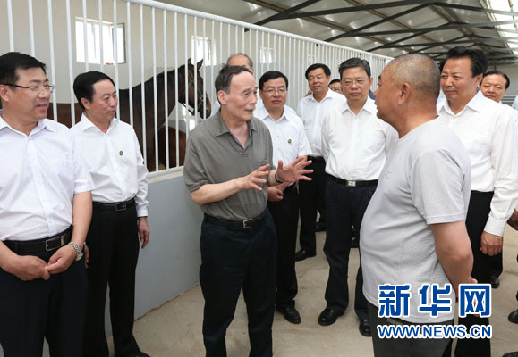 這是7月3日，王岐山在錫林浩特市義合良種馬繁育基地考察。新華社記者 龐興雷 攝