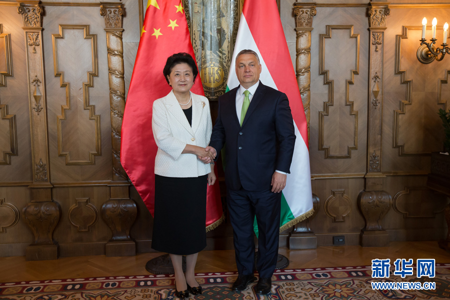  6月21日，國務(wù)院副總理劉延?xùn)|（左）在匈牙利布達(dá)佩斯國會大廈會見匈牙利總理歐爾班。 新華社發(fā)（弗爾季·奧蒂洛攝）