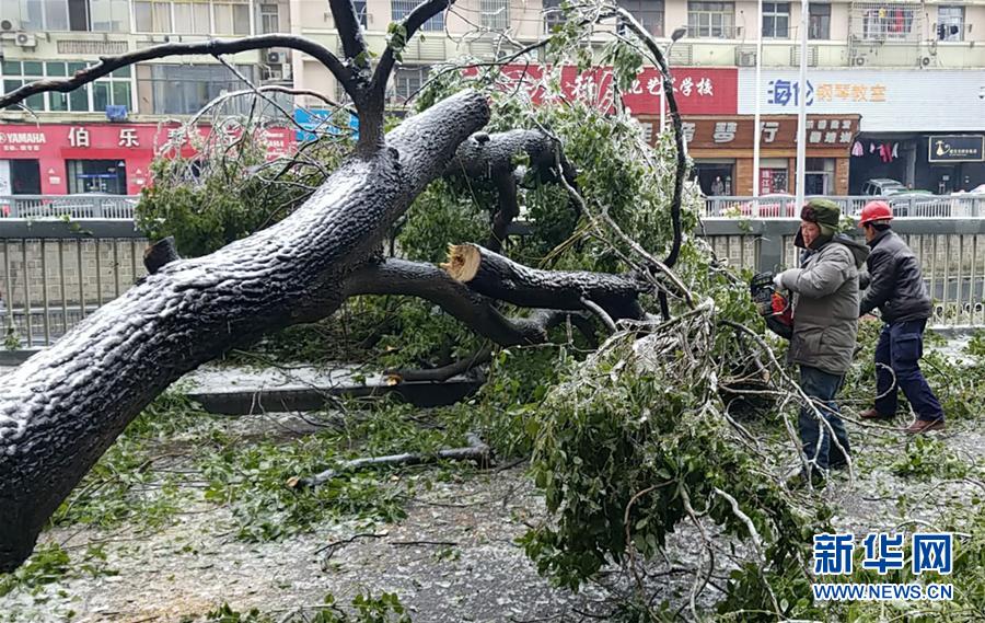 （新華全媒頭條）（7）雨雪冰凍中，他們奮力前行——基層黨員干群抗擊冰雪災(zāi)害紀實