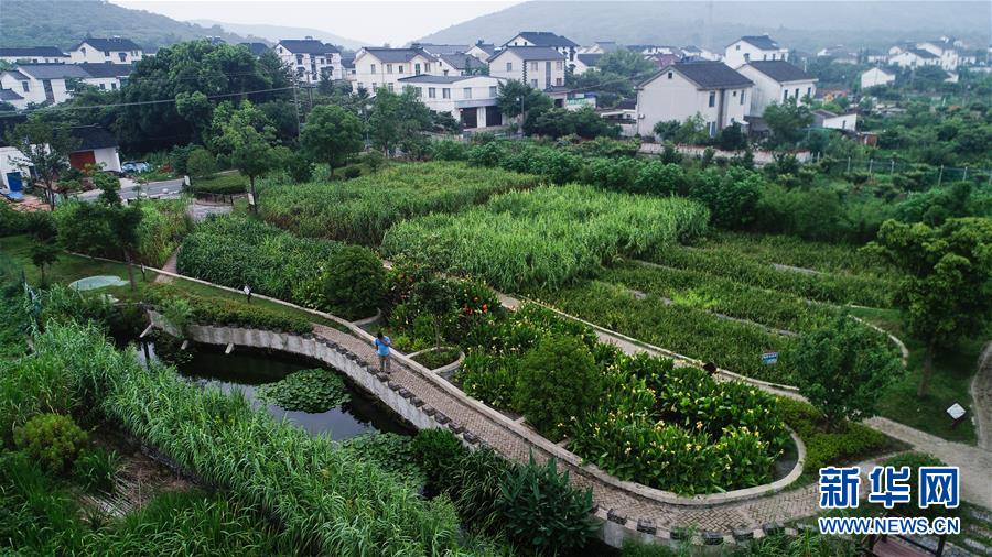 （在習近平新時代中國特色社會主義思想指引下——新時代新作為新篇章·圖文互動）（1）稀奇！治污濕地成了休閑公園——江蘇蘇州全域推進農(nóng)村生活污水治理