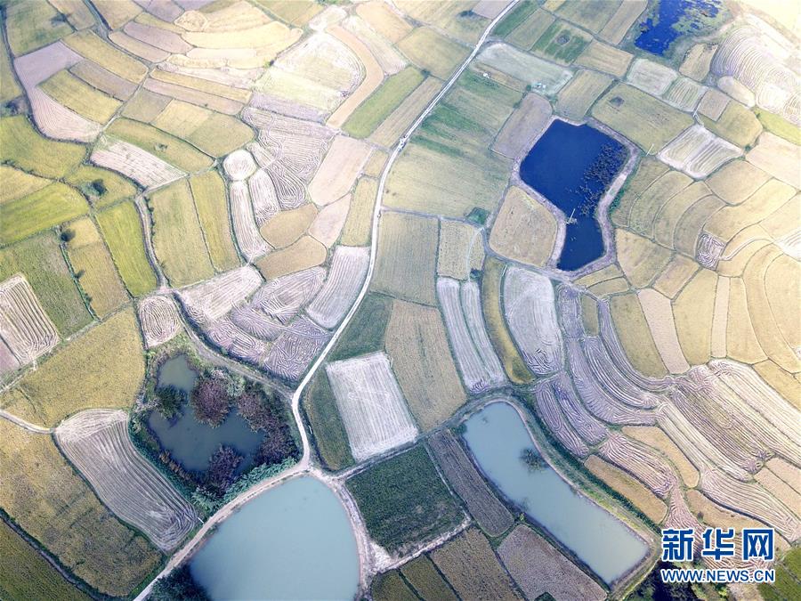 （新華全媒頭條·壯闊東方潮　奮進(jìn)新時(shí)代——慶祝改革開放40年·圖文互動(dòng)）（2）小崗，與時(shí)代同行——“中國農(nóng)村改革第一村”40年變遷的改革啟示
