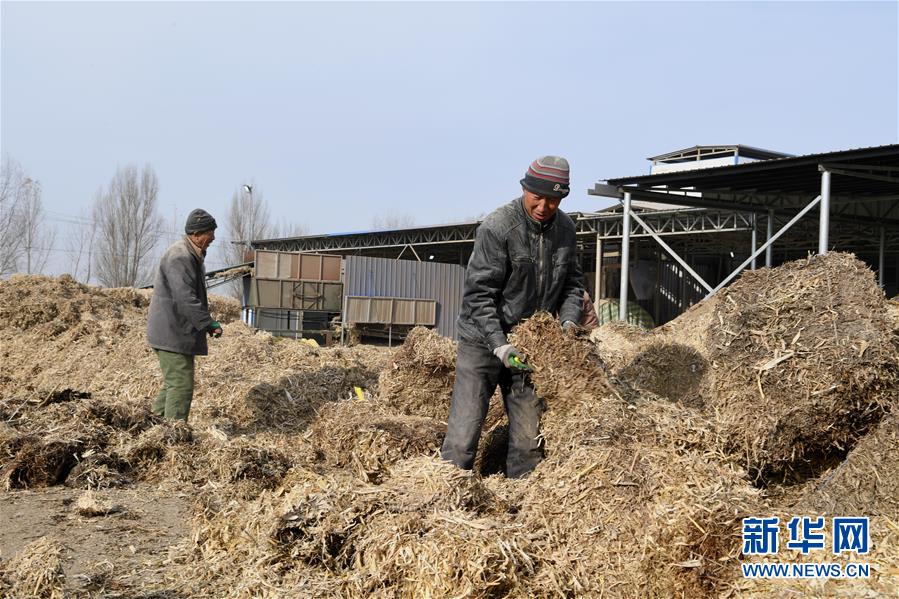 （在習(xí)近平新時代中國特色社會主義思想指引下——新時代新氣象新作為·鄉(xiāng)村振興戰(zhàn)略·圖文互動）（2）“與其放火，不如打包”——山西渾源秸稈綜合再利用見聞