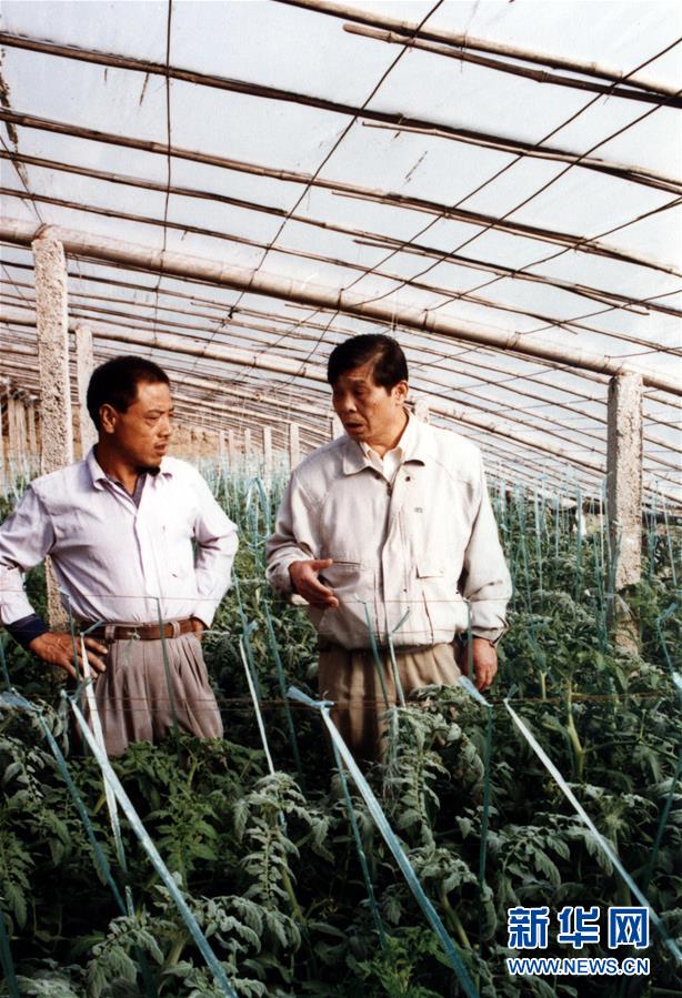 （改革先鋒風采·圖文互動）（1）王伯祥：山東壽光蔬菜產業(yè)的推動者 