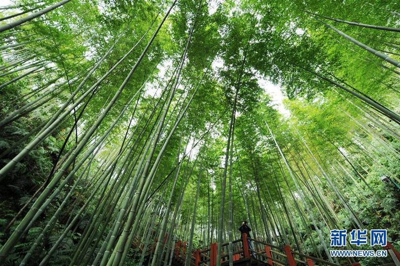 （新華全媒頭條·圖文互動(dòng)）（5）山鄉(xiāng)巨變——來(lái)自貴州扶貧一線(xiàn)的報(bào)告