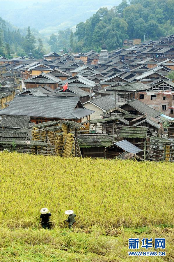 （新華全媒頭條·圖文互動(dòng)）（16）山鄉(xiāng)巨變——來(lái)自貴州扶貧一線(xiàn)的報(bào)告