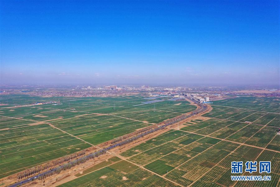 （新華全媒頭條·圖文互動）（6）奮進(jìn)，向著未來之城！——河北雄安新區(qū)建設(shè)發(fā)展兩周年紀(jì)實(shí)