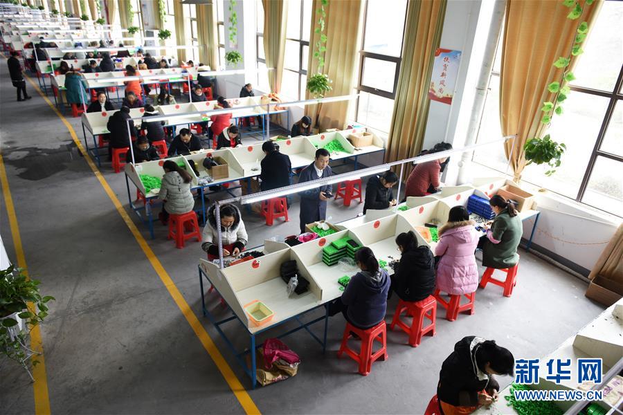 （在習(xí)近平新時代中國特色社會主義思想指引下——新時代新作為新篇章·圖文互動）（5）“搬遷到哪里，服務(wù)就延伸到哪里”——貴州推進(jìn)易地扶貧搬遷“后半篇文章” 
