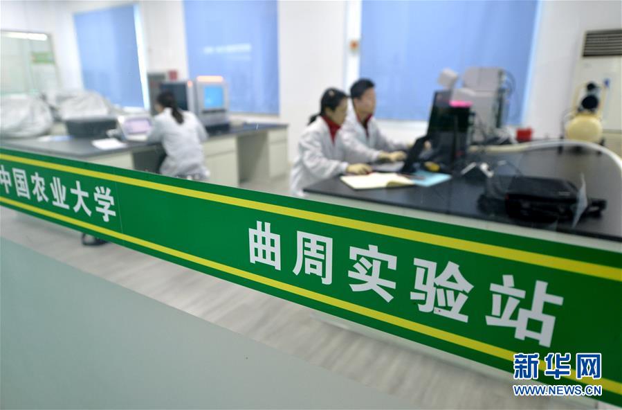 （愛國情 奮斗者·圖文互動）（3） “解民生之多艱，育天下之英才”——中國農(nóng)大師生扎根田野書寫奉獻之歌
