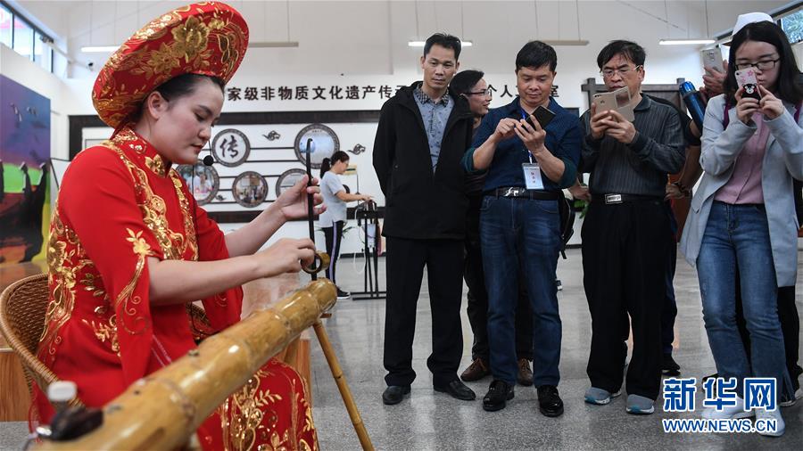 （壯麗70年 奮斗新時代——推動高質(zhì)量發(fā)展調(diào)研行·圖文互動）（6）近海能看鯨魚白海豚，廣西這片濱海旅游勝地啥來頭？