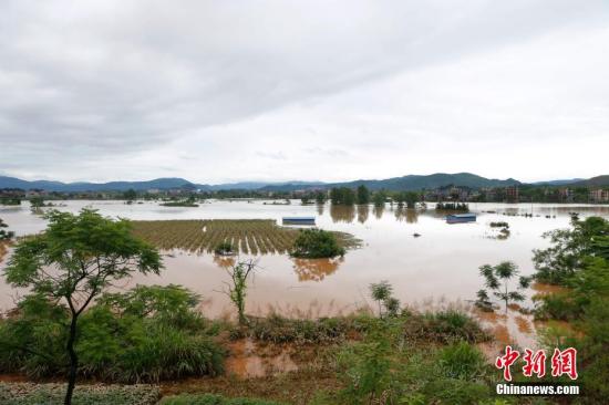 資料圖：湖南省臨武縣武水鎮(zhèn)、南強(qiáng)鎮(zhèn)、汾市鎮(zhèn)、水東鎮(zhèn)、金江鎮(zhèn)等鄉(xiāng)鎮(zhèn)遭遇特大暴雨襲擊，導(dǎo)致大量民房和農(nóng)田被淹。據(jù)不完全統(tǒng)計(jì)，該縣數(shù)千戶民房被淹，數(shù)十萬畝農(nóng)田、果園、煙田被淹斷收，直接經(jīng)濟(jì)損失達(dá)數(shù)千萬元。災(zāi)情發(fā)生后，當(dāng)?shù)卣跋嚓P(guān)部門第一時(shí)間奔赴受災(zāi)鄉(xiāng)鎮(zhèn)轉(zhuǎn)移群眾，察看災(zāi)情并積極組織村民排澇自救、發(fā)放救災(zāi)物資、開展保險(xiǎn)理賠等工作。目前救災(zāi)工作正在有序進(jìn)行，無人員傷亡。唐盛歡 攝