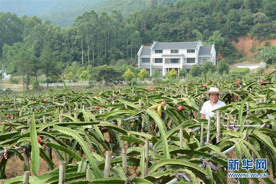 （在習(xí)近平新時(shí)代中國(guó)特色社會(huì)主義思想指引下——新時(shí)代新作為新篇章·總書記關(guān)心的百姓身邊事·圖文互動(dòng)）（6）大污染變身“大寶藏”：治理畜禽糞污，他們這樣干！
