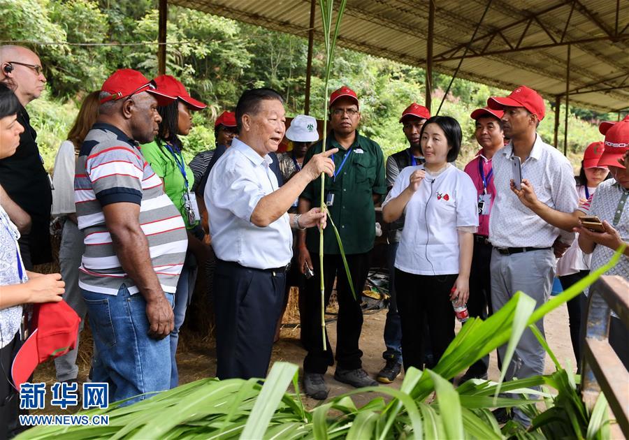 （不忘初心、牢記使命·圖文互動）（5）拳拳寸草心 濃濃報國情——記“菌草之父”林占熺