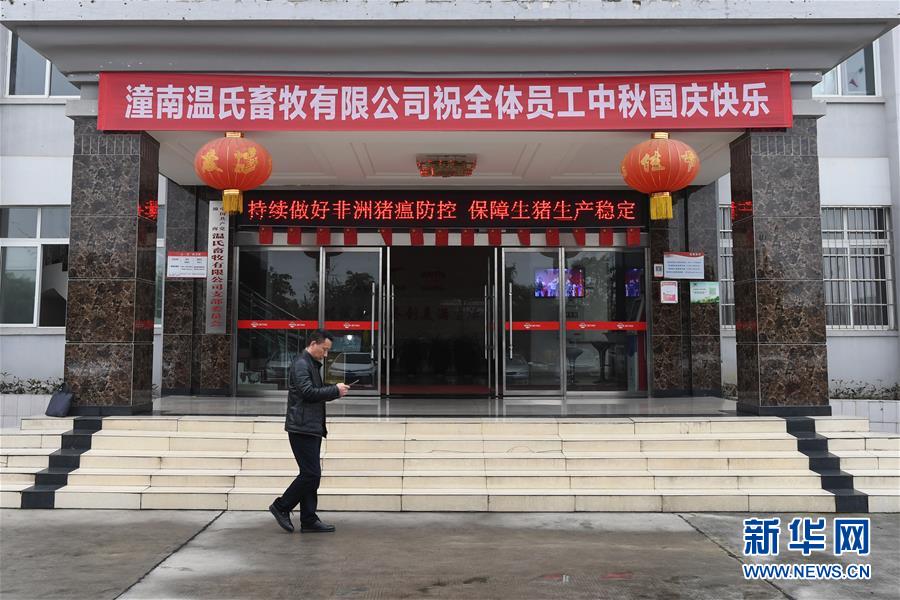 （在習(xí)近平新時(shí)代中國特色社會(huì)主義思想指引下——新時(shí)代新作為新篇章·總書記關(guān)切高質(zhì)量發(fā)展·圖文互動(dòng)）（1）穩(wěn)住“一頭豬”、供好“一袋米”、配好“一籃菜