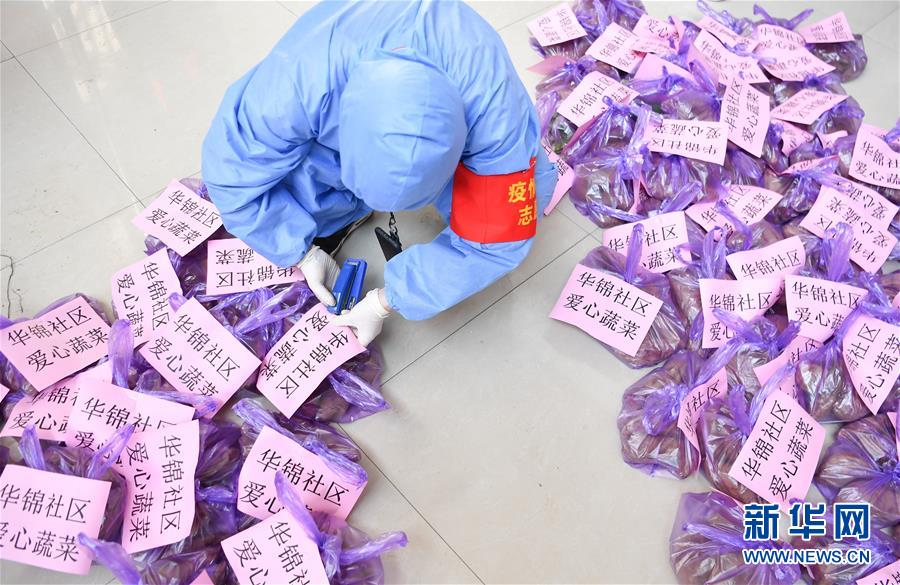 （習近平致敬的戰(zhàn)“疫”英雄·志愿者篇·圖文互動）（11）他們，微光成炬照征程
