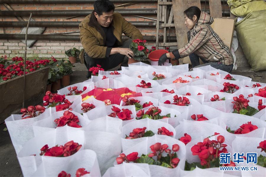 （在習(xí)近平新時(shí)代中國特色社會(huì)主義思想指引下——新時(shí)代新作為新篇章·習(xí)近平總書記關(guān)切事·圖文互動(dòng)）（1）希望的田野，希望的春天——各地農(nóng)業(yè)生產(chǎn)新動(dòng)態(tài)掃描