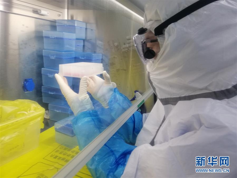 （一線抗疫群英譜·圖文互動）（2）“95后”大學(xué)生郝鶯歌：退掉車票，她選擇直面病毒
