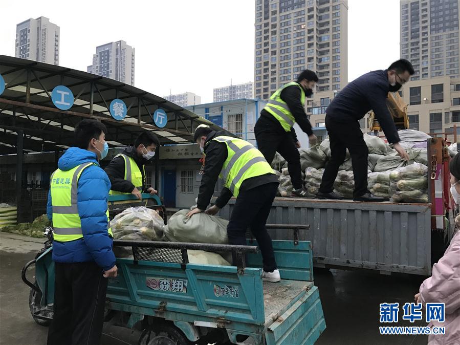 （一線抗疫群英譜·圖文互動）（2）“面對疫情，我們能做點啥？”——“蘿卜哥”朱海洋的擔(dān)當(dāng)