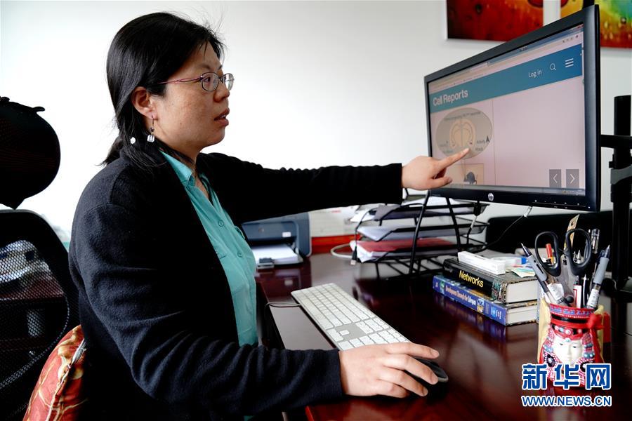 （圖文互動）（1）攻擊行為如何被大腦控制？科學(xué)家在小鼠大腦中發(fā)現(xiàn)“調(diào)節(jié)開關(guān)”