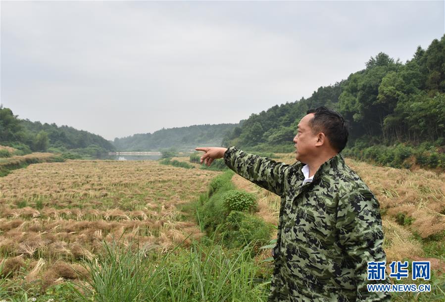 （代表委員履職·圖文互動(dòng)）（2）“我是農(nóng)民代表，始終關(guān)注農(nóng)村”——全國(guó)人大代表沈昌健的履職故事