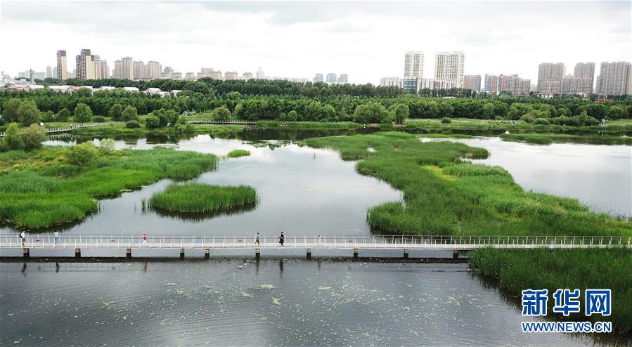 （走向我們的小康生活·圖文互動(dòng)）（1）水清、地綠、空氣新——最北省份黑龍江繪就生態(tài)治理新畫卷