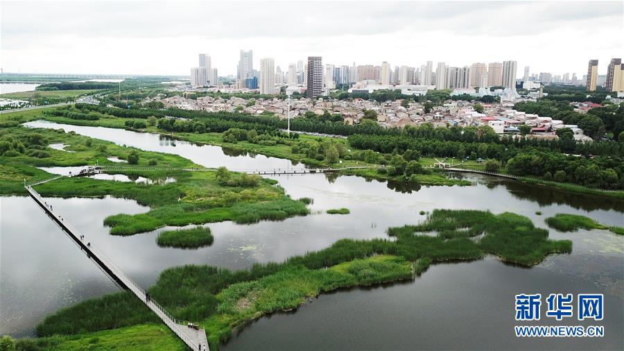 （走向我們的小康生活·圖文互動(dòng)）（2）水清、地綠、空氣新——最北省份黑龍江繪就生態(tài)治理新畫卷