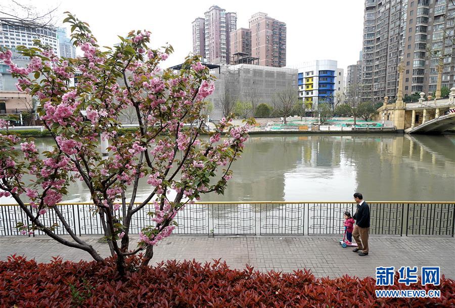 （新華全媒頭條·走向我們的小康生活·圖文互動(dòng)）（12）城市，讓人民生活更美好
