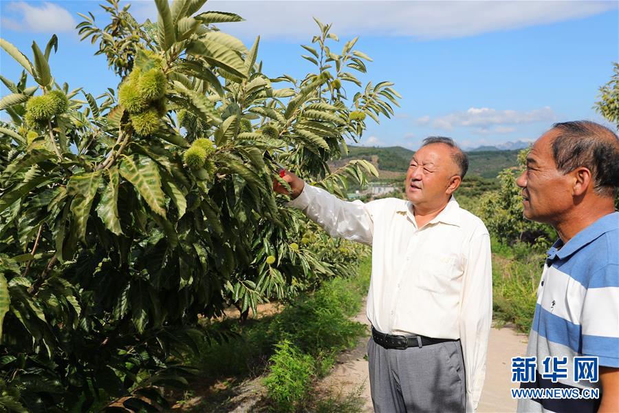 （新華全媒頭條·走向我們的小康生活·圖文互動(dòng)）（11）長(zhǎng)城腳下，小康村串成“珍珠鏈”
