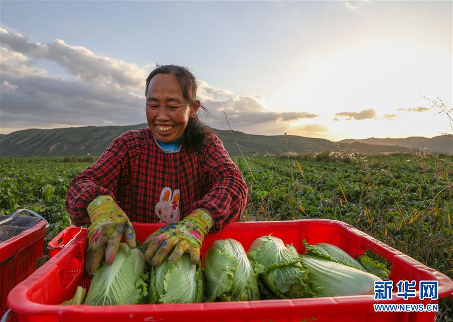 （新華全媒頭條·決戰(zhàn)決勝脫貧攻堅·督戰(zhàn)未摘帽貧困縣·圖文互動）（1）不獲全勝，決不收兵——全國52個掛牌督戰(zhàn)貧困縣脫貧攻堅紀(jì)實