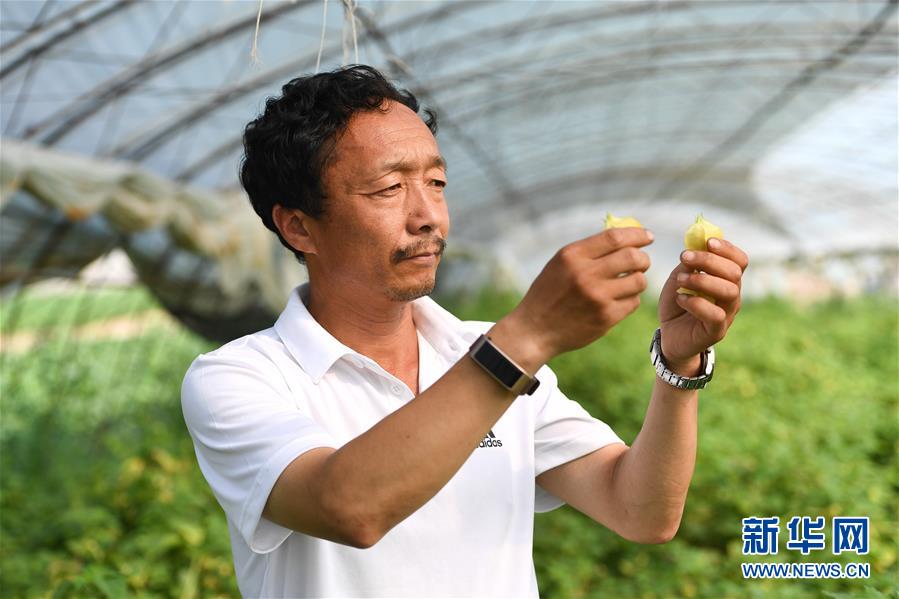 （新華全媒頭條·走向我們的小康生活·圖文互動）（7）黑土地上是我家——在吉林，一瞥中國東北鄉(xiāng)村美麗未來
