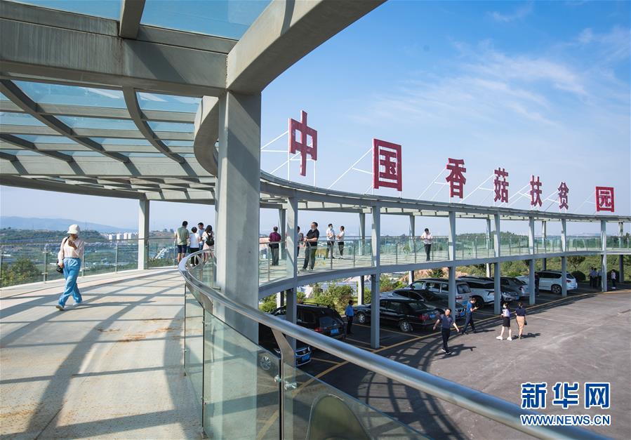 （新華全媒頭條·走向我們的小康生活·圖文互動(dòng)）（2）特殊之年，荊楚大地書寫不平凡的答卷