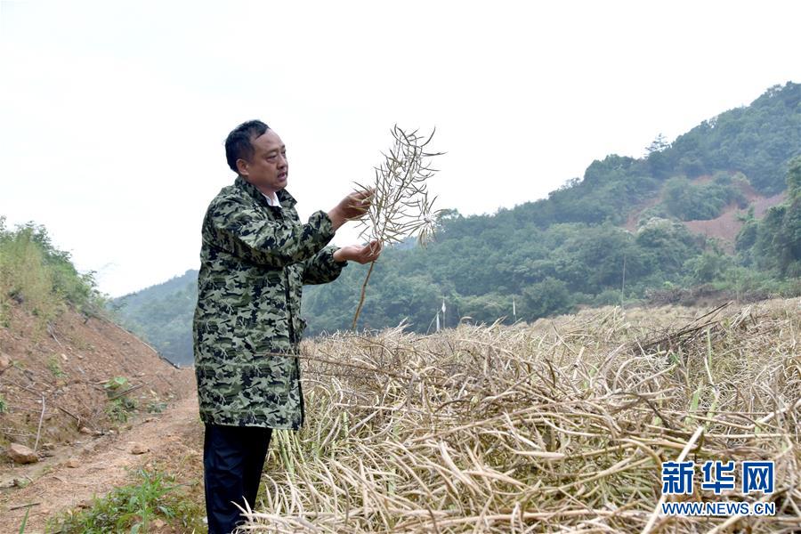 （代表委員履職·圖文互動）（1）“我是農(nóng)民代表，始終關(guān)注農(nóng)村”——全國人大代表沈昌健的履職故事