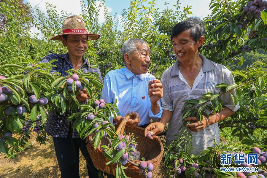 （新華全媒頭條·圖文互動）（1）凝聚民族復興的精神偉力——以習近平同志為核心的黨中央重視思想道德建設關(guān)心關(guān)愛道德模范紀實