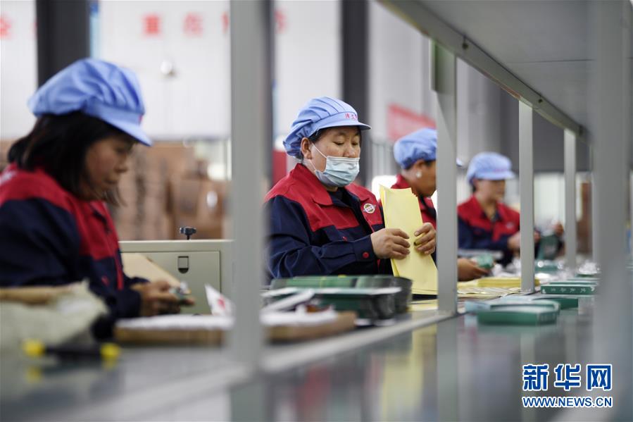 （在習(xí)近平新時代中國特色社會主義思想指引下——新時代新作為新篇章·習(xí)近平總書記關(guān)切事·圖文互動）（1）“綠色銀行”發(fā)工資、“股東”分紅來敲門……——探索長效脫貧致富新機(jī)制見聞