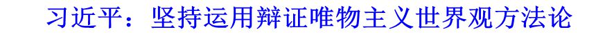 習(xí)近平：堅(jiān)持運(yùn)用辯證唯物主義世界觀(guān)方法論
