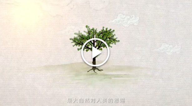 綠色發(fā)展：書(shū)寫在中國(guó)大地上的美麗畫卷