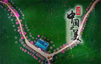江山如畫，想把春的故事講給你聽(tīng)