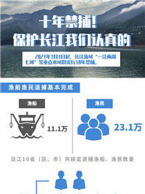 十年禁捕！保護(hù)長(zhǎng)江我們認(rèn)真的