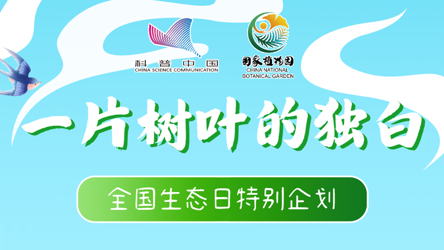 全國(guó)生態(tài)日丨一片樹(shù)葉的獨(dú)白