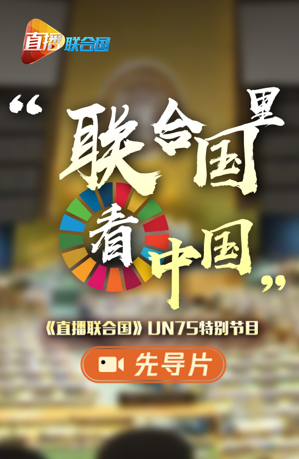 聯(lián)合國日，一起來看看他們眼中的中國