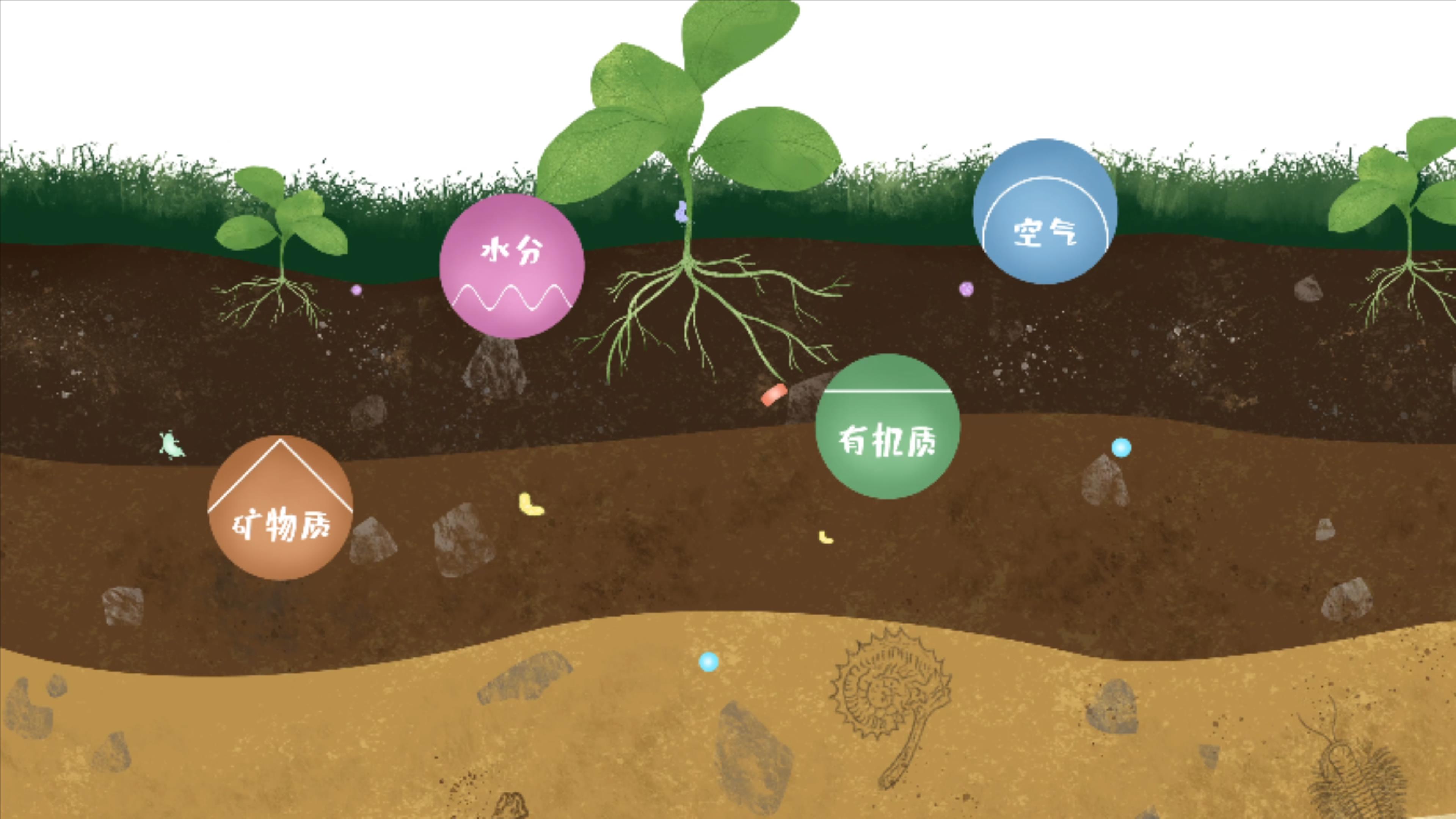 土壤由礦物質(zhì)、有機(jī)質(zhì)、水分、空氣及包括微生物在內(nèi)的生物體等組成