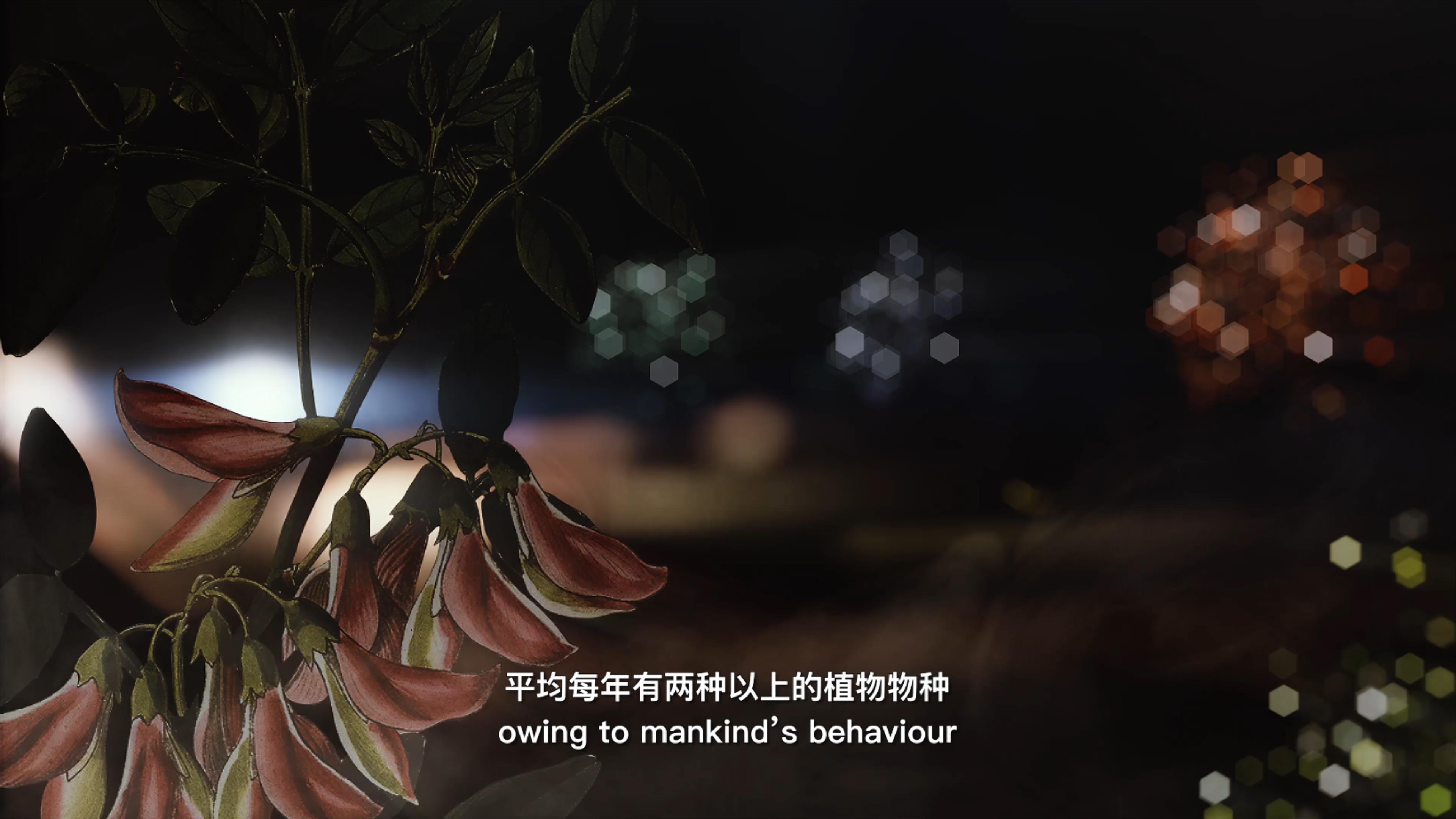 自18世紀(jì)中葉以來，許多植物物種因為人類的原因而從地球上消失